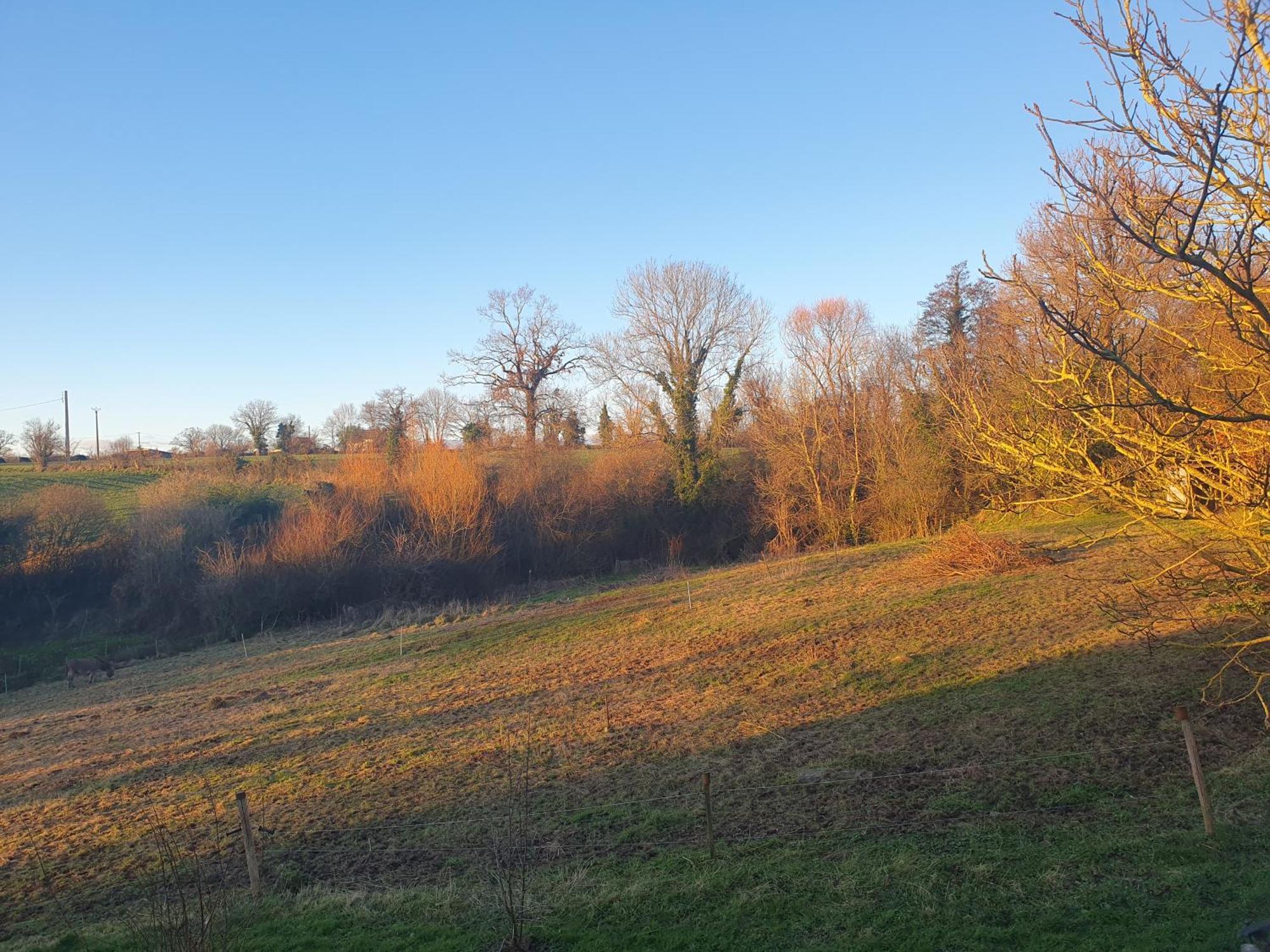 Gites La Vicomterie Ver  Exterior foto